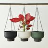 Large Self-Watering Hanging Basket for Trailing and Succulent Plants