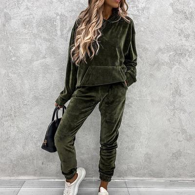 Women's Autumn and Winter Solid Color Hooded Top + Pants Set Casual Silver Fox Velvet Suit for Women