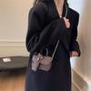 Niche design fashion trend portable small bag women's 2025 autumn contrasting color small square bag high-end single shoulder oblique span bag