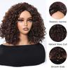 ALAN EATON Women's Kinky Curly Wigs for Black Women Black/Dark Brown Synthetic Wigs Heat Resistant Daily Party