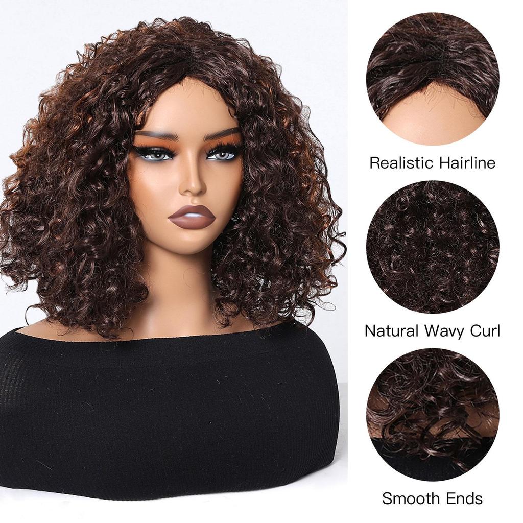 ALAN EATON Women's Kinky Curly Wigs for Black Women Black/Dark Brown Synthetic Wigs Heat Resistant Daily Party