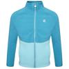Dare 2B Childrens/Kids Witty Fleece Jacket