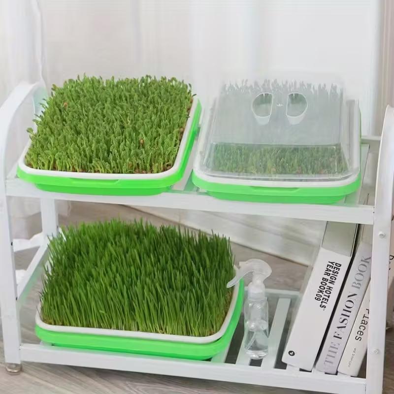 1set Efficient Germination Nursery Pots For Peas Beans Wheat Fast Harvest Seed Sprout Nursery Tray Gardening Accessories