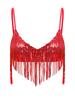 Shiny Sequin Tassel Bra for Womens S-3XL - Swing Fringe Bralette No-pad Wireless Top for Belly Dance Disco Dancewear