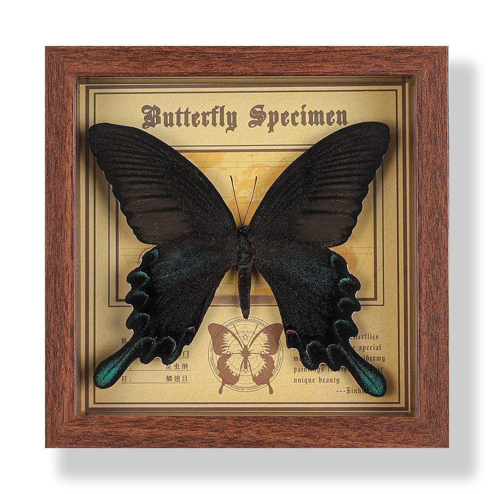 Real butterfly specimen photo frame, decorative painting, 3D ornament, handmade DIY, birthday gift, insect specimen