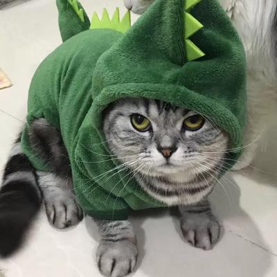 Vestiti per cani da compagnia Cani di piccola e media taglia con vestiti per gatti in velluto con dinosauro