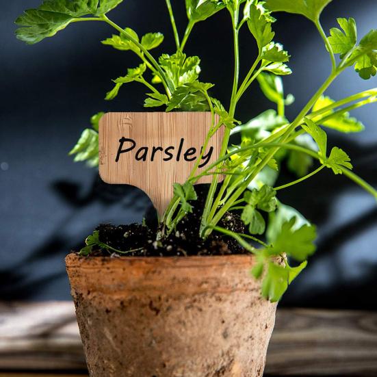 

50/100Pcs Bamboo T Shape Vegetables Plant Labels Tags Garden Markers Decor Tool