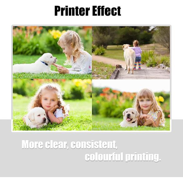 6 Packs 232XL Remanufactured Ink Cartridges Replacement for 232 232XL T232 T232XL High-Capacity Work for XP-4200 XP-4205 WF-2930 WF-2950 Printer