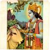 7inch Record RADHA KRISHNA TEMPLE (LONDON) - Govinda 1821 APPLE 1970 US Country/Folk Used