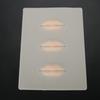 3Pcs Silicone Permanent Makeup Training Skin Lip Tattoo Fake Practice Skin Kit