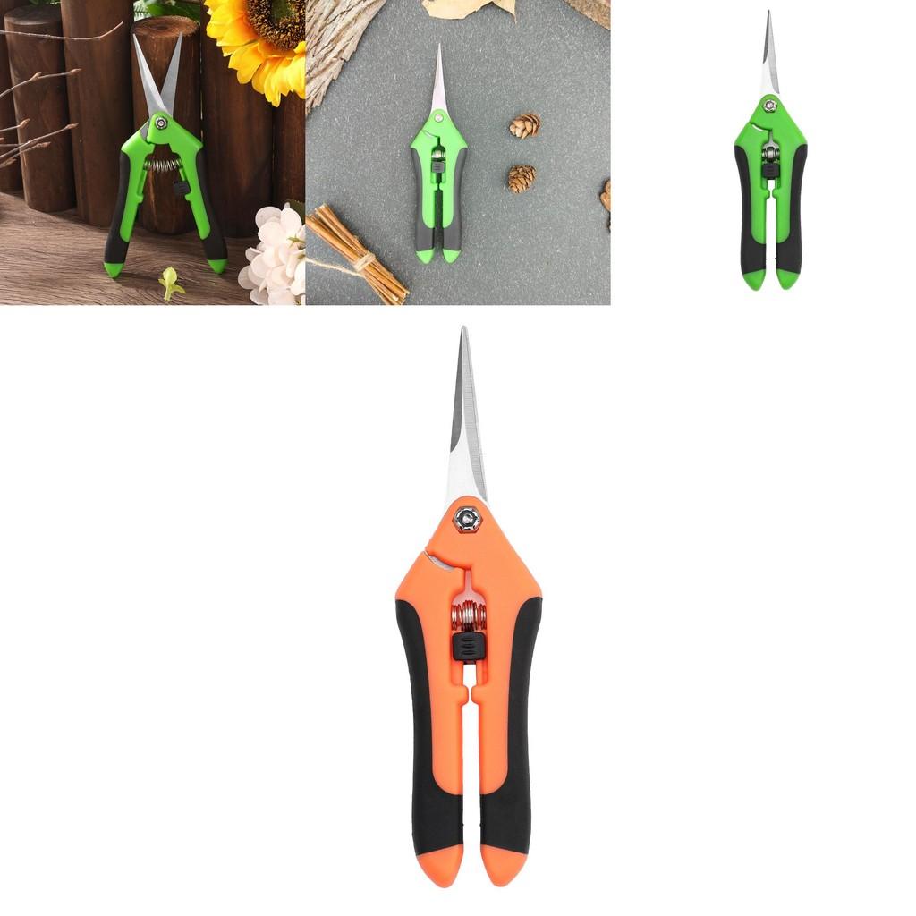 Gartenschere mit Edelstahl zum Beschneiden von Obstbäumen und für die Gartenarbeit im Freien