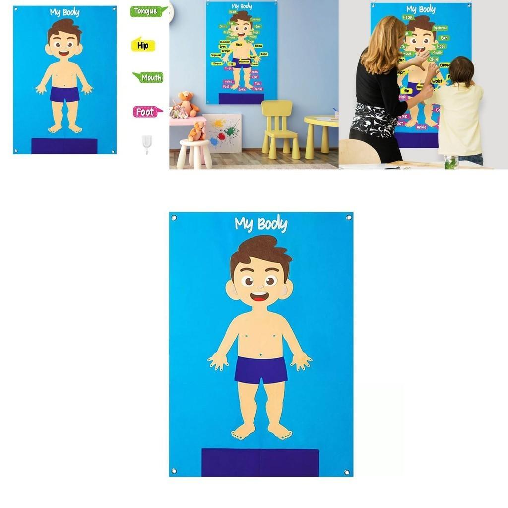 Kids' Felt Body Structure Puzzle Board With Organ Images