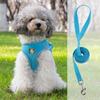 Vest-Style Harness and Leash Set for Small Dogs: Bichon, Teddy, Pomeranian