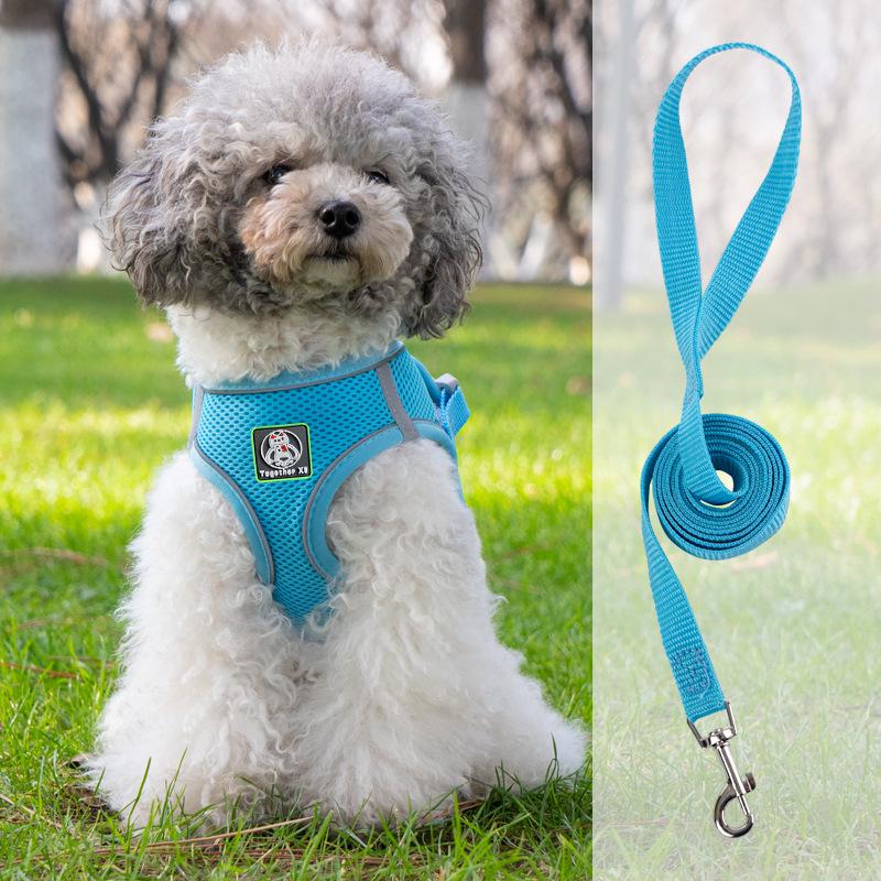Vest-Style Harness and Leash Set for Small Dogs: Bichon, Teddy, Pomeranian