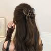 French Butterfly Hair Clip Female High-end Sense of New Large Shark Clip Back of The Head Plate Hairpin Hair Accessories Summer