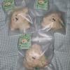 NCT Wish Pocket Wish Doll Dang Liver (Unopened)