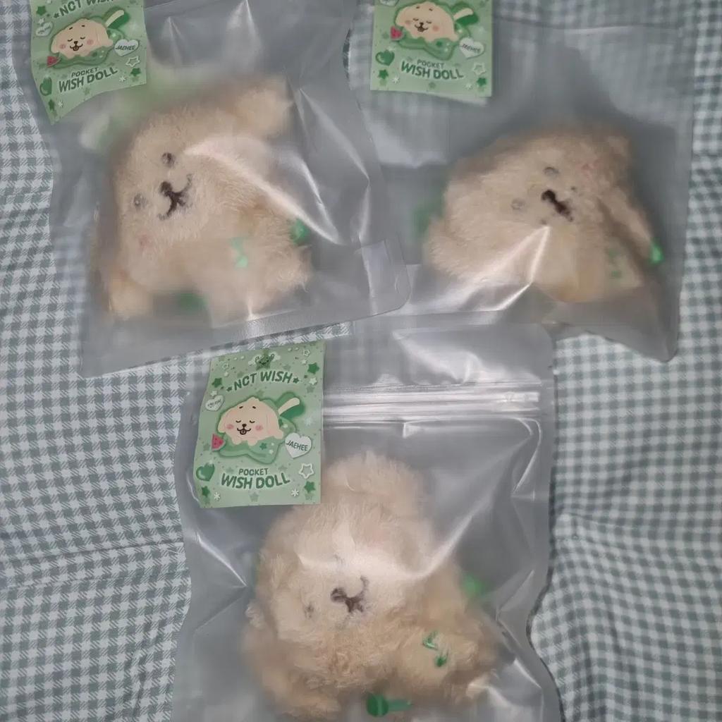 NCT Wish Pocket Wish Doll Dang Liver (Unopened)
