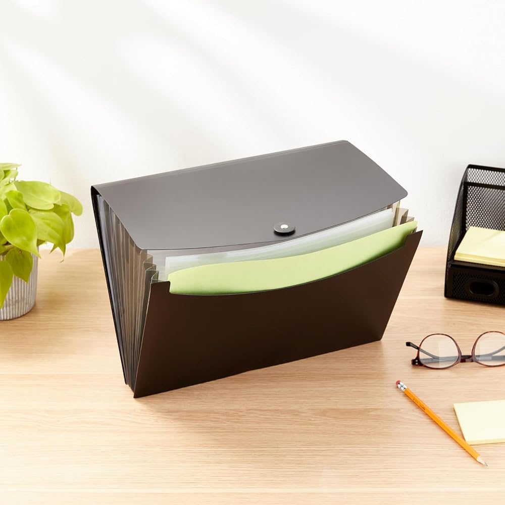 Basics A4 Document Case File Folder with Expandable Sections and Labels, Black 13cm x 21cm