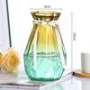 European-Style Hydroponic Pothos Vase with Dried Flowers for Living Room Decor