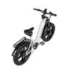 Nathaniel SYR08 E-Bike da Fuoristrada Batteria 48V20Ah Pneumatici Fat da 20 Pollici Doppio Motore 2*1000W Bicicletta Elettrica All-Terrain per Adulto