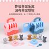 Children's Play House Pet Scene Toy Set for Boys and Girls DIY Puppy and Cat Pet Cage Toy