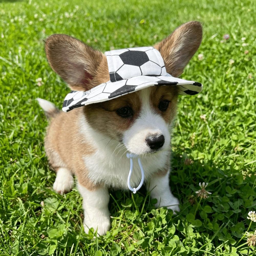 Football Theme Exposed Ear Hat Breathable Pet Sun Hat Cute Dog Fisherman Hat Walking