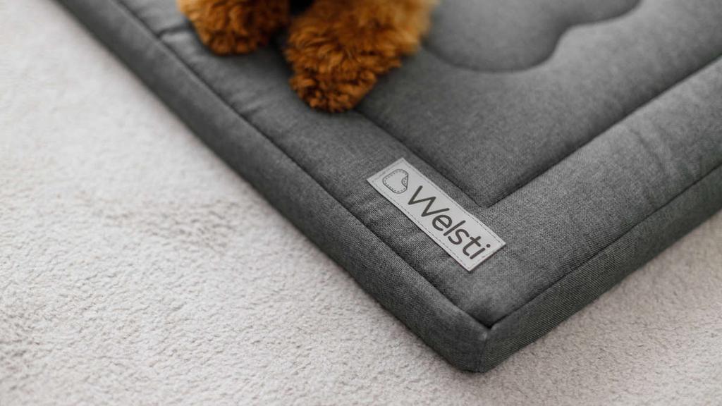 Hundebett, Hundematratze, Welsti Dunkelgrau M 70X50