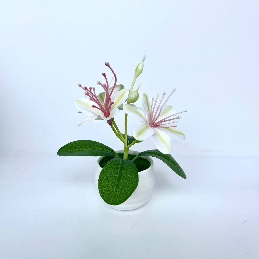with White Pot Artificial Jasmine Potted Plant Small Fake Flower Bonsai  Indoor Decoration розовый