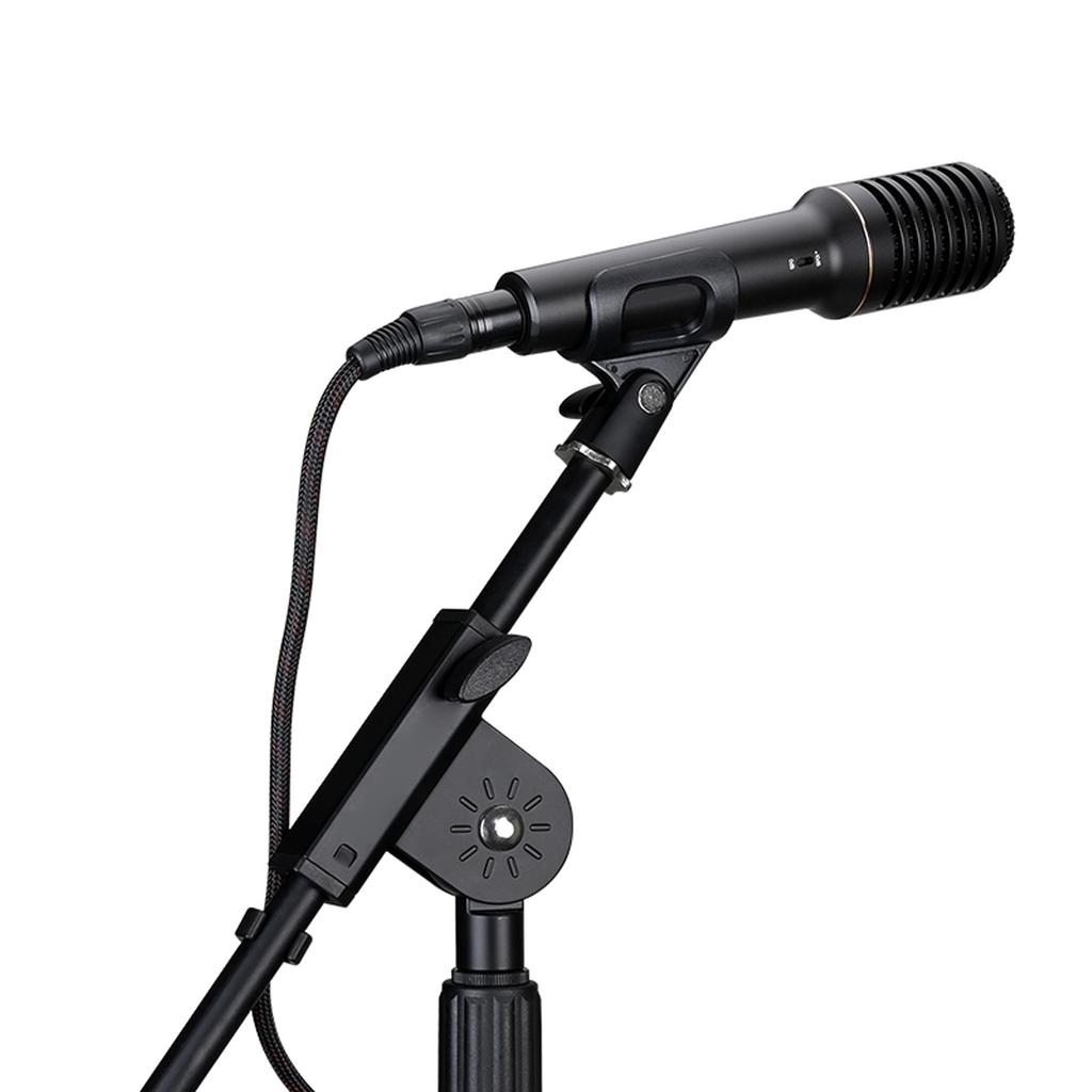 Handheld Condenser Microphone for Professional Recording, Live Streaming, Karaoke, Stage Performances, with Cardioid