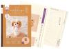 Couture et tricot – Kits de tricotage