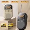 Mini Pocket FM AM Radio Large LCD Display DSP Radios Receiver Wireless Bluetooth Speaker TF Card Music Player for Elder 9K/10K
