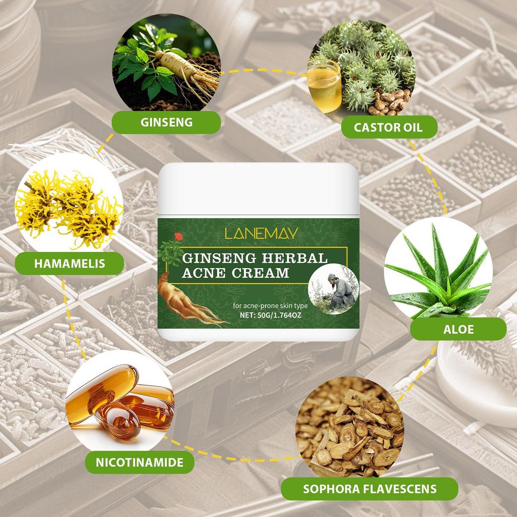 Ginseng Herbal Acne Cream- 24-Hour Long-Lasting Oil Control and Anti-Pimple Protection for Sensitive Skin, 50g