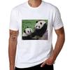 Giant Pandas Tian Tian And Mei Xiang At The National Zoo Tshirt Quick Dry Fishing Tshirt