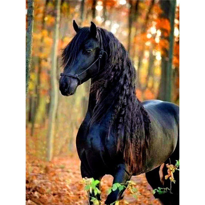 

Алмазная картина Лошадь, полная круглая алмазная вышивка, картина с животными, 5D Diy, мозаика, стразы, украшение для дома Full Round 20x30CM