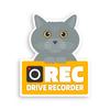 Takasu Shoten Dash Cam Magnet Car Sign Sticker Sticker Car Rear Warning Recording Dog Cat (Cats (Ash))