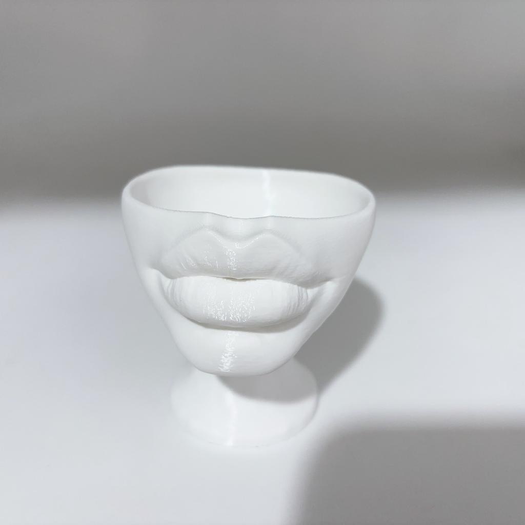 Interesting Lip Flowerpot Shaped Ornaments, Pot Containers, Succulent Flowerpot Containers, Home and Living Room Decorations