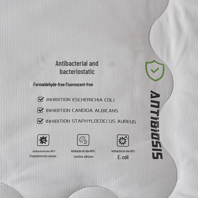 Soybean Fiber Winter Comforter