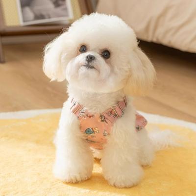 Spring and Summer Small and Medium-sized Dog and Dog Clothes Full of Doggie Graffiti Leash Skirt Cat Pet Clothing