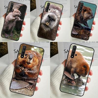 Etui Zwierzę Bóbr Dla Huawei Nova 11i 3i 7i 5T 11 9 10 SE Y60 Y61 Y70 Y90 Y91 P20 P40 Lite P30 Pro Pokrowiec