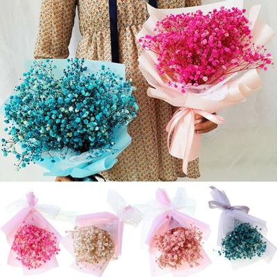1 Bouquet Gypsophila Romantic Natural Dried Flower Babysbreath Floral Decoration for Gifts