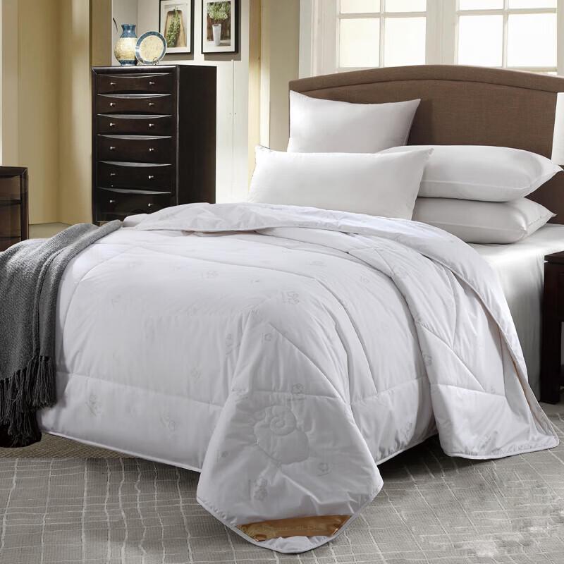 JOES HOME JDYM005 Warm All-Season Comforter