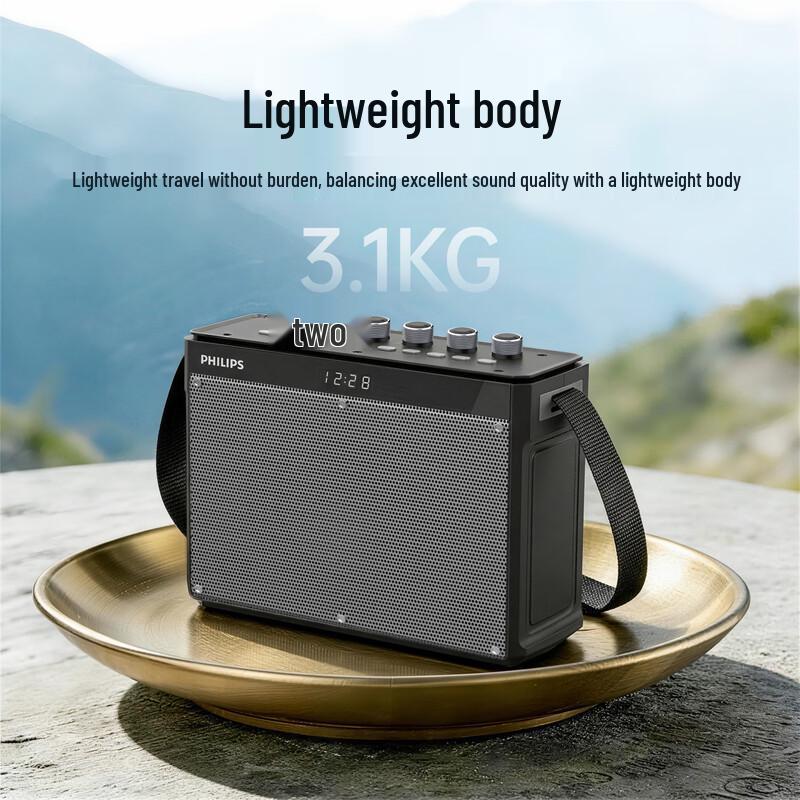 Philips SD139 Portable Outdoor KTV Bluetooth Speaker (CN Version)