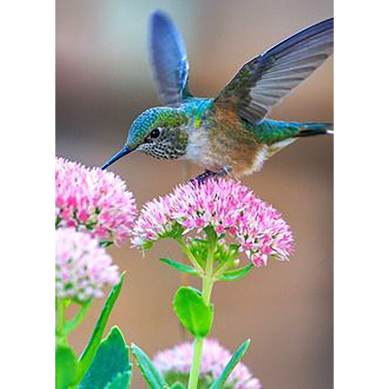 

Новый 5D DIY Алмазная картина Птица Цветок Алмазная вышивка Пейзаж Вышивка крестиком Полный круглый дрель Домашний декор Ручной подарок Full Round 15x20CM