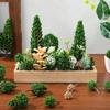 TOYMYTOY Tree Model Set of for Use As Model Railway Miniature and Educational Trees, 38, Trees, Models, Buildings, Gardens, Purposes.