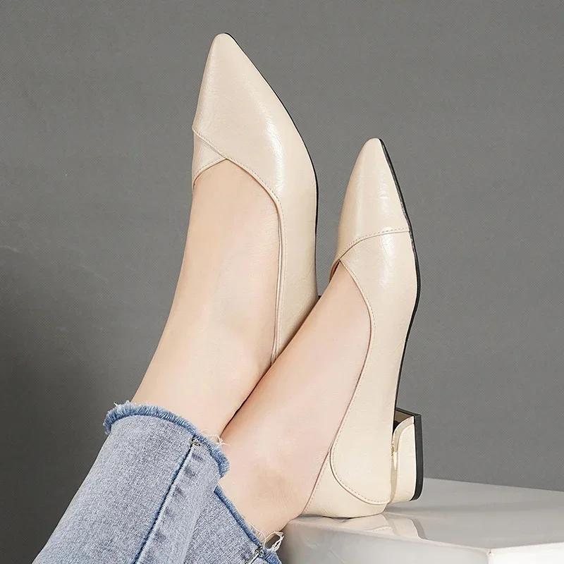Spring and Autumn New Single Shoes Women Thick Heel Pointed Toe Shallow Mouth Professional All-match Women's Leather Shoes