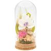 Mirai Agris PD Collection Preserved Flowers In Glass Dome L Size Pink Japanese Buddhist Altar Memorial Flower Chrysanthemum Orchid
