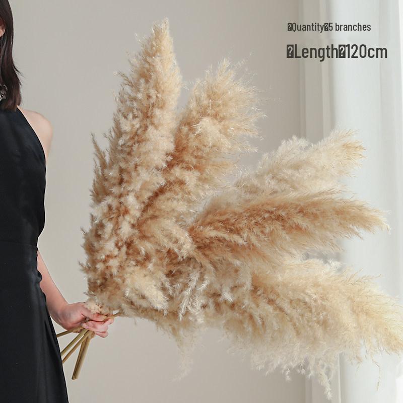 Natural Air-Dried Reed and Cattail Flower Bouquet for Floor Vase Decoration