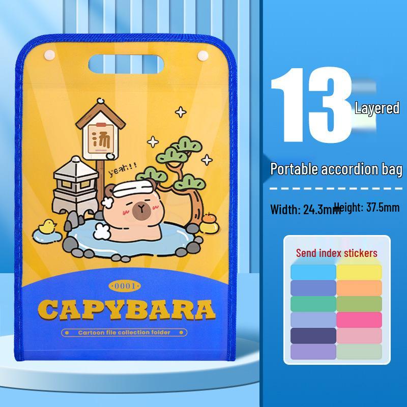 A4 Accordion Folder: Capybara Student Large-Capacity Test Paper and Data Storage Organizer