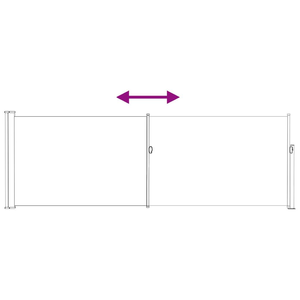 Retractable Side Awning Anthracite 300 x 100 cm Polyester