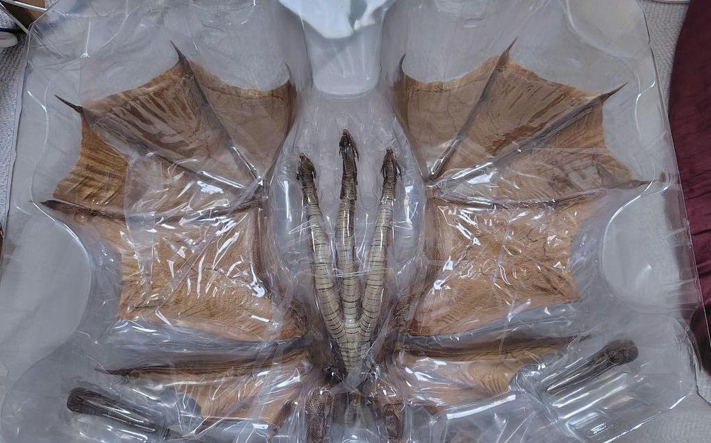 [USED] Hiyatoys King Ghidorah (2019) EXQUISITE BASIC (opened)